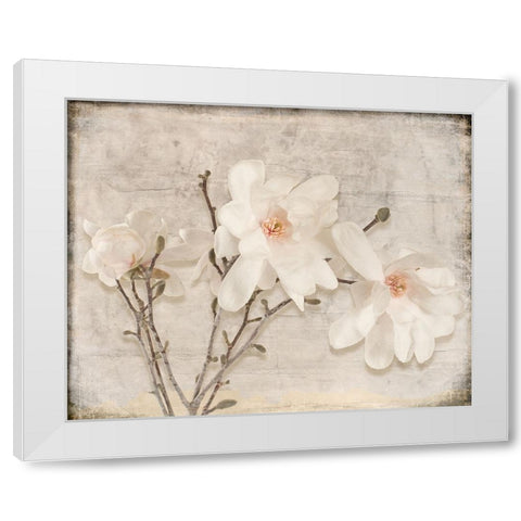 Spring Magnolia White Modern Wood Framed Art Print by LightBoxJournal