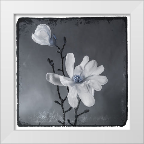 Blue Magnolia White Modern Wood Framed Art Print by LightBoxJournal