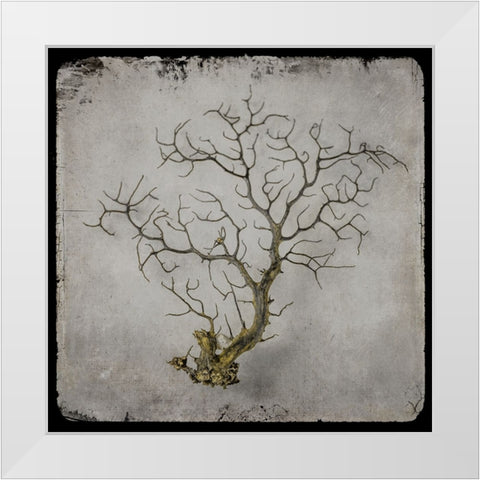 Golden Sea 2 White Modern Wood Framed Art Print by LightBoxJournal