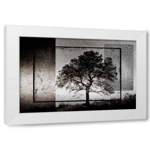 July Tree White Modern Wood Framed Art Print by LightBoxJournal