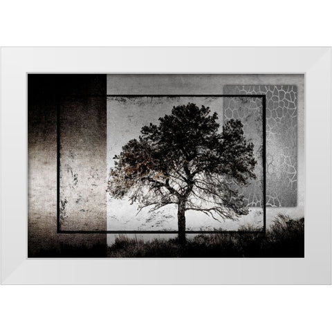 July Tree White Modern Wood Framed Art Print by LightBoxJournal