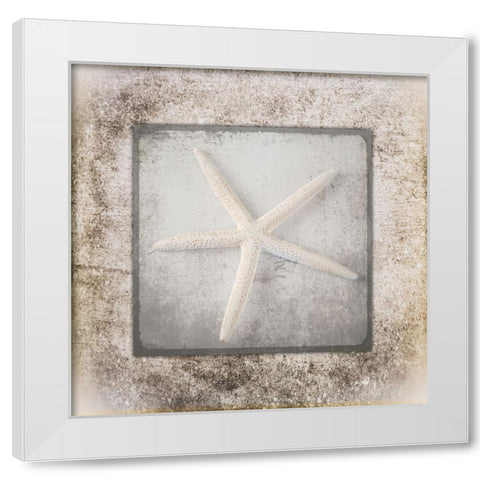 Stone Star 3 White Modern Wood Framed Art Print by LightBoxJournal