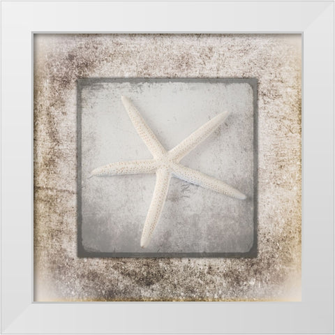 Stone Star 3 White Modern Wood Framed Art Print by LightBoxJournal