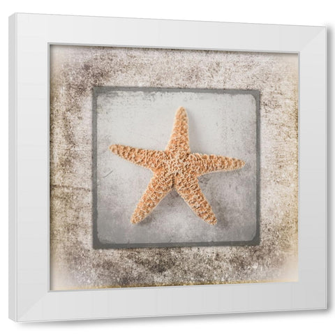 Stone Star White Modern Wood Framed Art Print by LightBoxJournal
