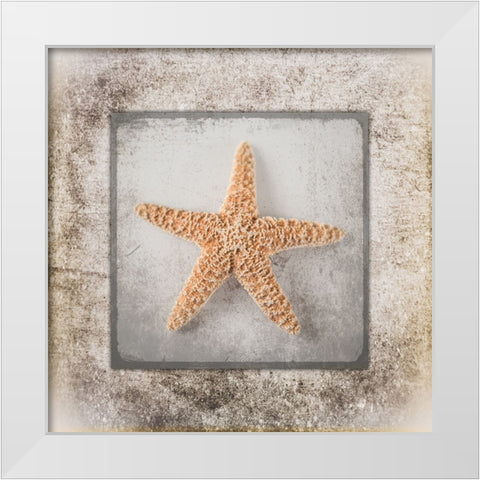 Stone Star White Modern Wood Framed Art Print by LightBoxJournal