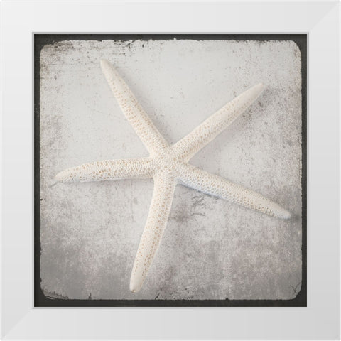 Vintage Natuical Set 2 White Modern Wood Framed Art Print by LightBoxJournal