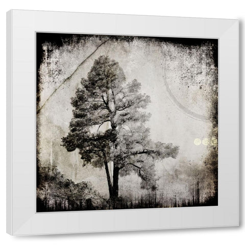 July Tree 12 White Modern Wood Framed Art Print by LightBoxJournal