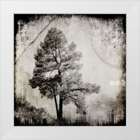July Tree 12 White Modern Wood Framed Art Print by LightBoxJournal