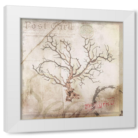 Sea Leaf 3 White Modern Wood Framed Art Print by LightBoxJournal