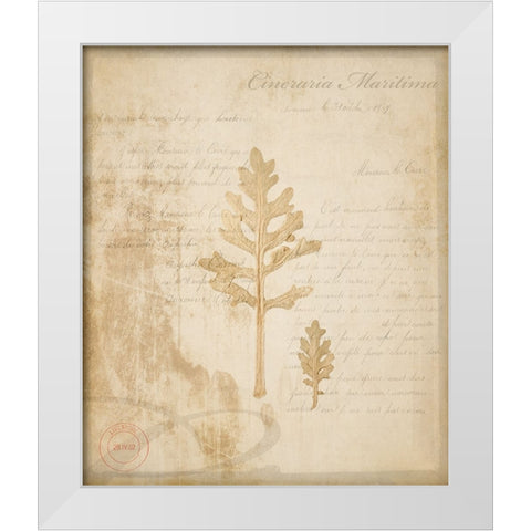 Scientific Plant 4 White Modern Wood Framed Art Print by LightBoxJournal
