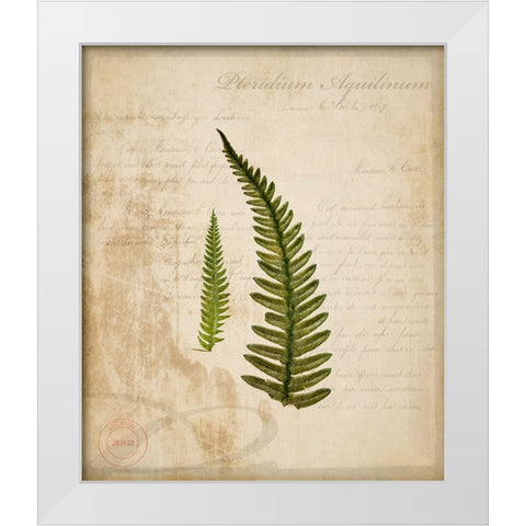 Scientific Plant 5 White Modern Wood Framed Art Print by LightBoxJournal