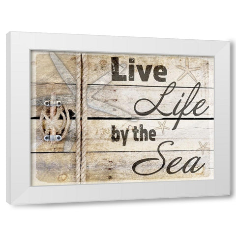 Country Sea Sign 3 White Modern Wood Framed Art Print by LightBoxJournal