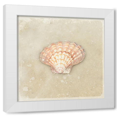 Gypsy Sea Brown 1 White Modern Wood Framed Art Print by LightBoxJournal