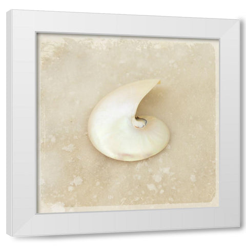 Gypsy Sea Brown 2 White Modern Wood Framed Art Print by LightBoxJournal