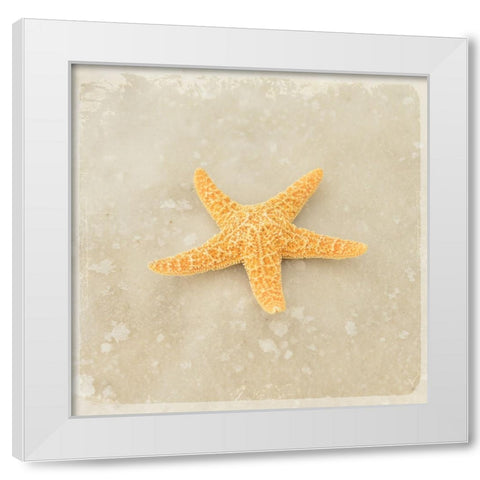 Gypsy Sea Brown 4 White Modern Wood Framed Art Print by LightBoxJournal