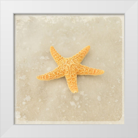 Gypsy Sea Brown 4 White Modern Wood Framed Art Print by LightBoxJournal