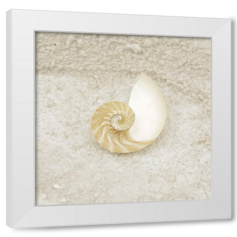 Gypsy Sea Life 1 White Modern Wood Framed Art Print by LightBoxJournal