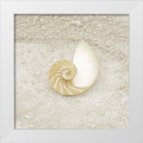 Gypsy Sea Life 1 White Modern Wood Framed Art Print by LightBoxJournal