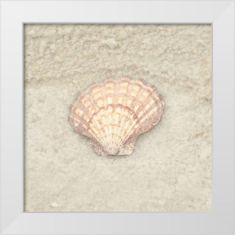 Gypsy Sea Life 4 White Modern Wood Framed Art Print by LightBoxJournal