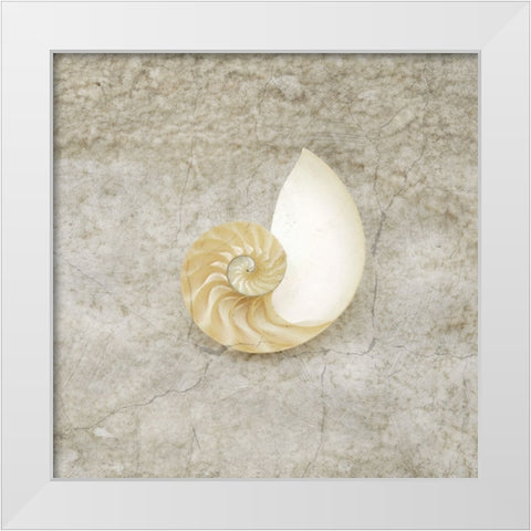 Gypsy Sea Life V1 White Modern Wood Framed Art Print by LightBoxJournal