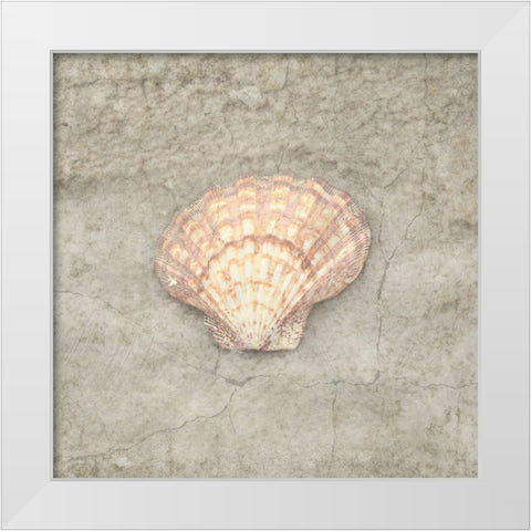 Gypsy Sea Life V3 White Modern Wood Framed Art Print by LightBoxJournal