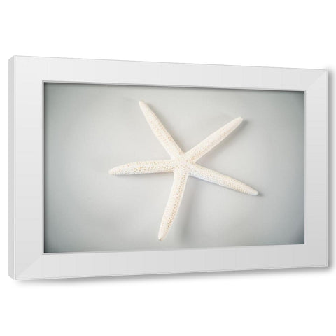Sea Star 1 White Modern Wood Framed Art Print by LightBoxJournal