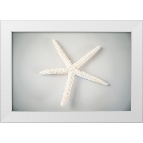 Sea Star 1 White Modern Wood Framed Art Print by LightBoxJournal