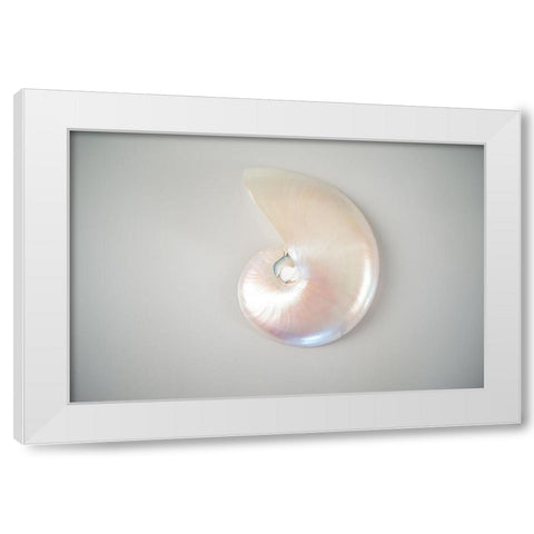 Sea Star 3 White Modern Wood Framed Art Print by LightBoxJournal
