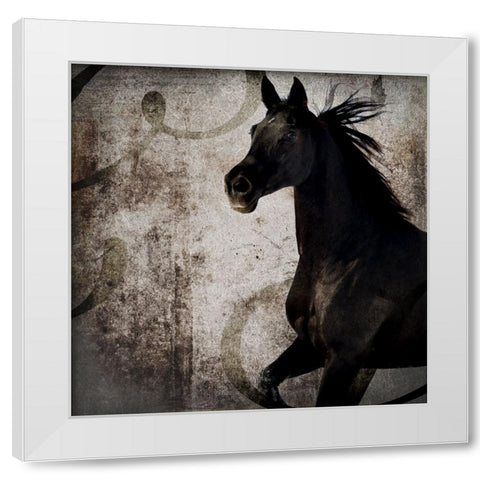GypsyHorse Collection V1 1 White Modern Wood Framed Art Print by LightBoxJournal