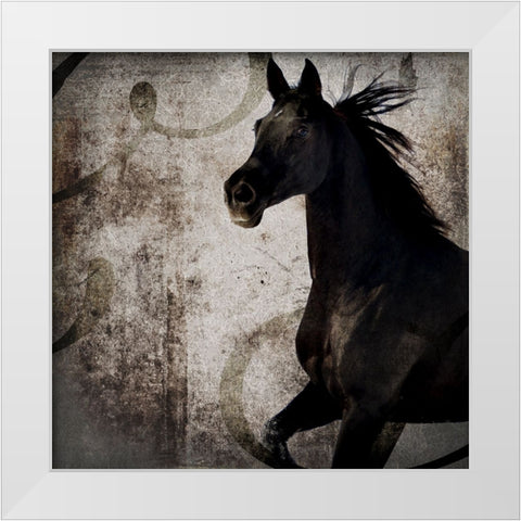 GypsyHorse Collection V1 1 White Modern Wood Framed Art Print by LightBoxJournal