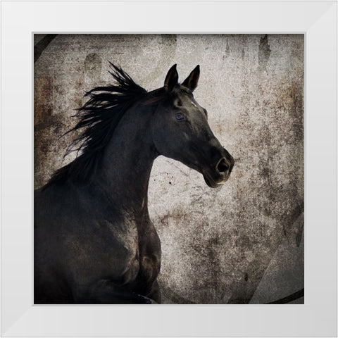 GypsyHorse Collection V1 4 White Modern Wood Framed Art Print by LightBoxJournal