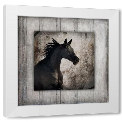 GypsyHorse Collection V1 5 White Modern Wood Framed Art Print by LightBoxJournal