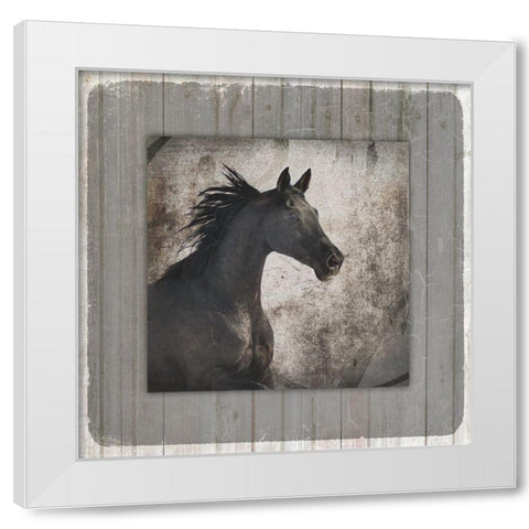 GypsyHorse Collection V1 10 White Modern Wood Framed Art Print by LightBoxJournal