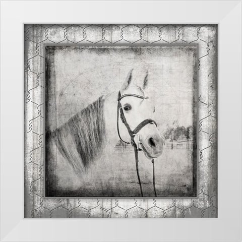 MyFarmMyWay V6 2 White Modern Wood Framed Art Print by LightBoxJournal