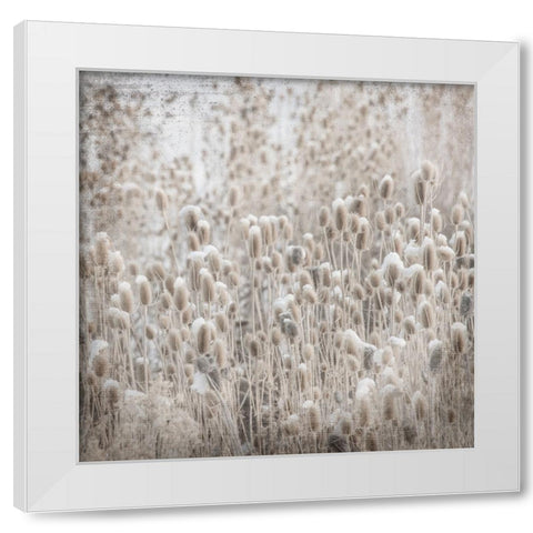 MyFarmMyWayPhotos 2 White Modern Wood Framed Art Print by LightBoxJournal
