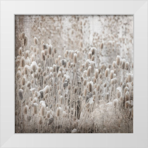MyFarmMyWayPhotos 3 White Modern Wood Framed Art Print by LightBoxJournal