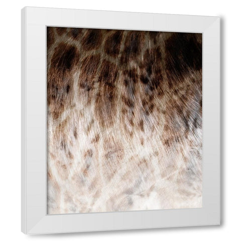 Animal_SurfacePattern V1 9 White Modern Wood Framed Art Print by LightBoxJournal