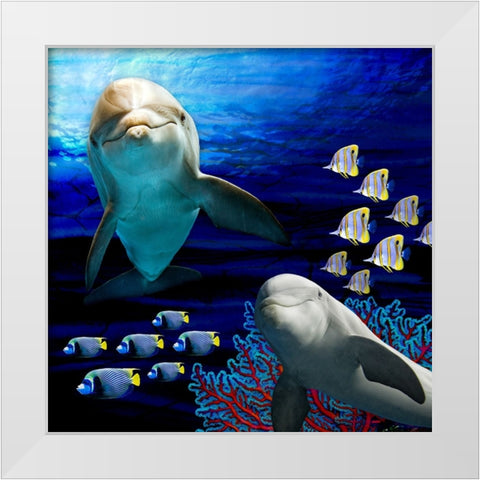 Sea Creatures_Dolphines 2 White Modern Wood Framed Art Print by LightBoxJournal