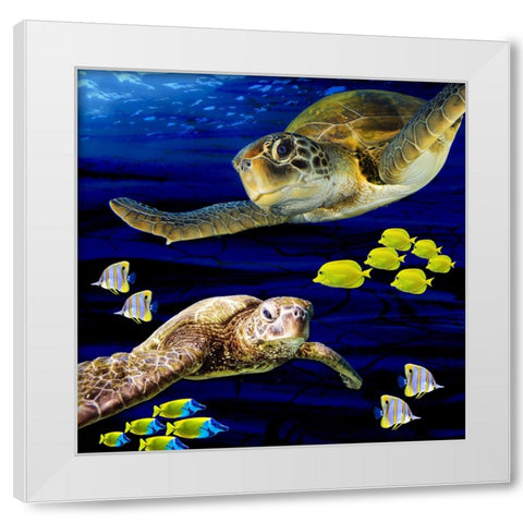 Sea Creatures_Turtle 2 White Modern Wood Framed Art Print by LightBoxJournal