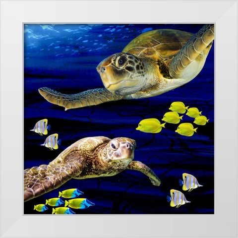 Sea Creatures_Turtle 2 White Modern Wood Framed Art Print by LightBoxJournal
