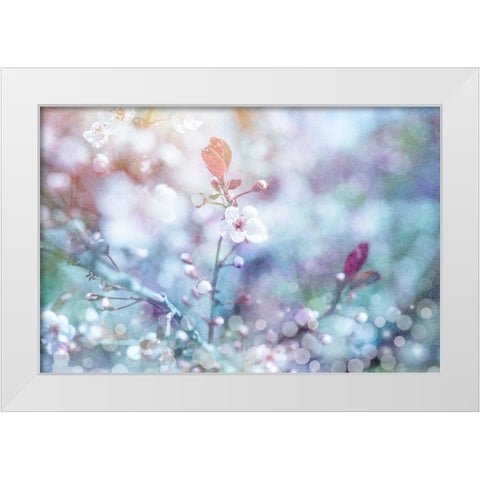 Cherry Blu 01 White Modern Wood Framed Art Print by LightBoxJournal
