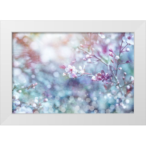 Cherry Blu 02 White Modern Wood Framed Art Print by LightBoxJournal