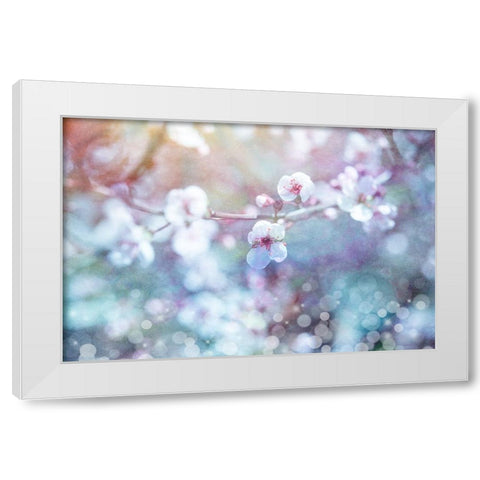Cherry Blu 04 White Modern Wood Framed Art Print by LightBoxJournal