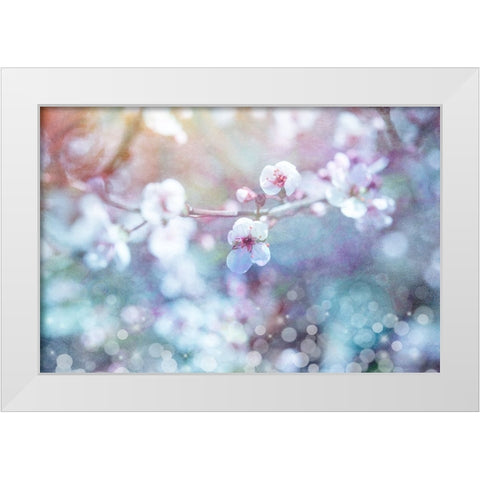 Cherry Blu 04 White Modern Wood Framed Art Print by LightBoxJournal