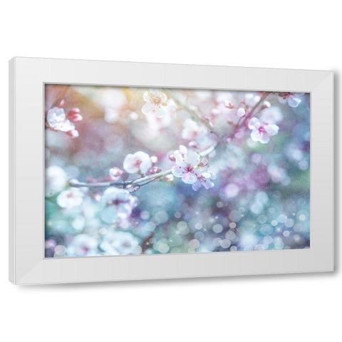 Cherry Blu 05 White Modern Wood Framed Art Print by LightBoxJournal