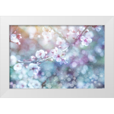 Cherry Blu 05 White Modern Wood Framed Art Print by LightBoxJournal