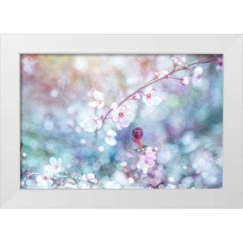 Cherry Blu 06 White Modern Wood Framed Art Print by LightBoxJournal