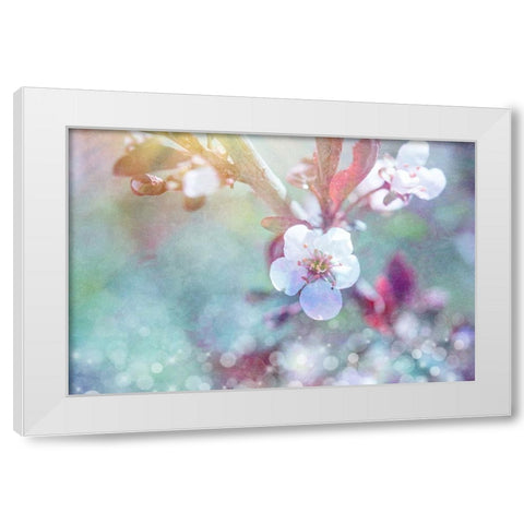 Cherry Blu 07 White Modern Wood Framed Art Print by LightBoxJournal