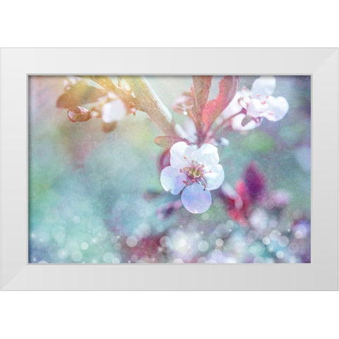 Cherry Blu 07 White Modern Wood Framed Art Print by LightBoxJournal