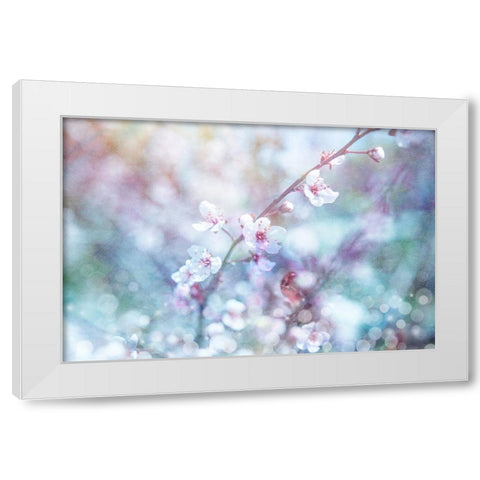 Cherry Blu 08 White Modern Wood Framed Art Print by LightBoxJournal